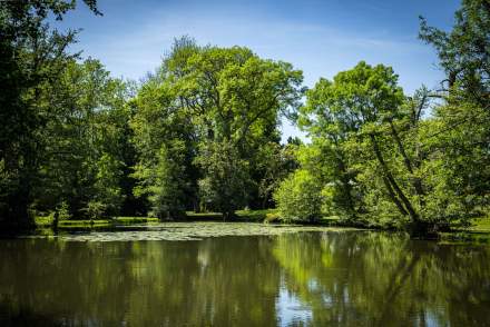 Château de Rigny - parc