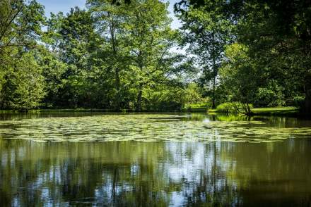 Haute Saone, Bourgogne · Château de Rigny parc